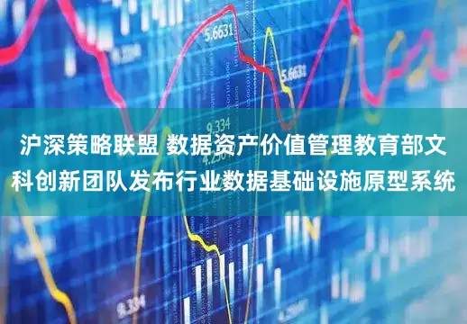 沪深策略联盟 数据资产价值管理教育部文科创新团队发布行业数据基础设施原型系统